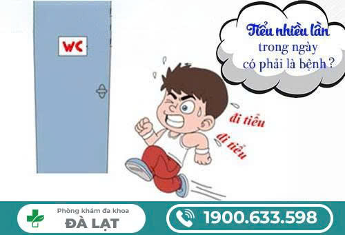 Hình ảnh minh họa